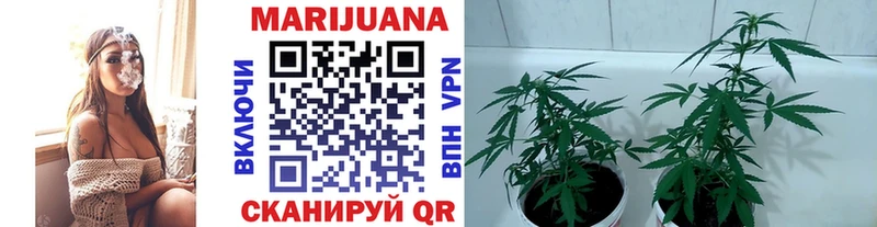 Купить А ПВП  Мефедрон  Кыштым
