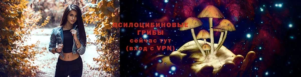 соль ск Беломорск