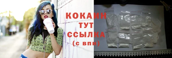 прущий лед Белокуриха