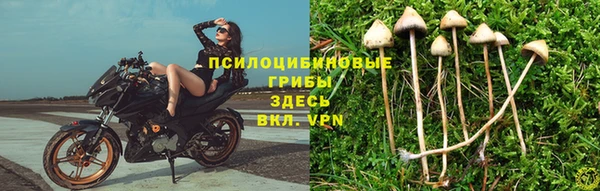 мяу мяу мука Белоозёрский