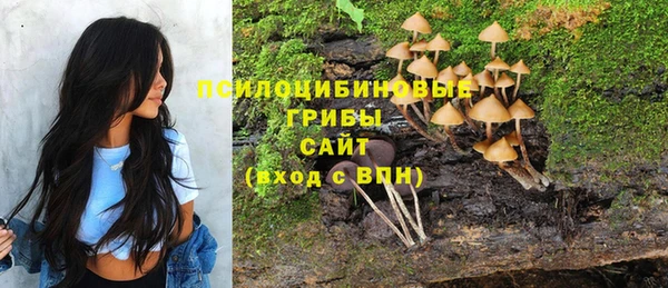 соль ск Беломорск