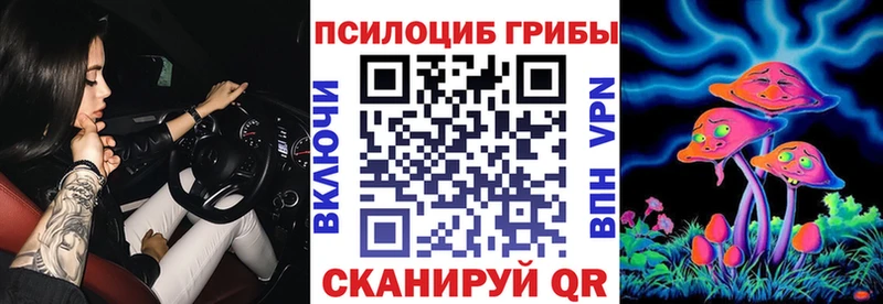 Купить где  Кыштым  Псилоцибиновые грибы Psilocybine cubensis 